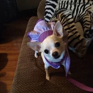 Meet your Posher, Sandi